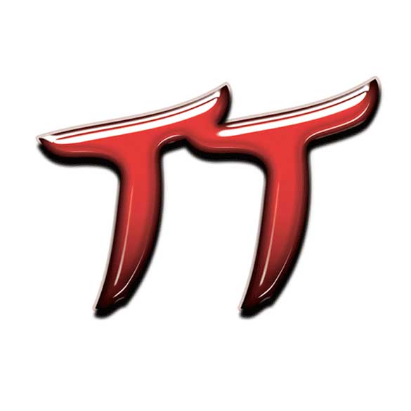 Tokyo Town Service's Toyota / Lexus Independent Auto Service graphic